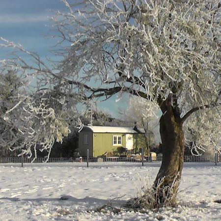 The Abberton Shepherds Hut Evesham Bagian luar foto